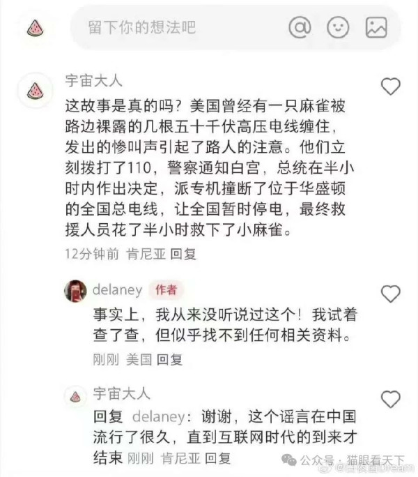 从动车临停救人看中国网络被渗透的过往