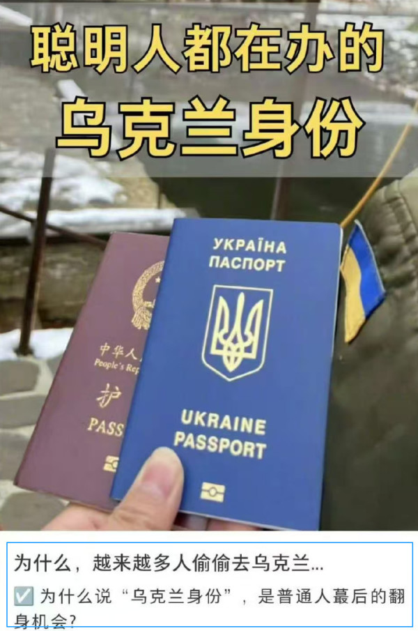 又蠢又殖，活该！