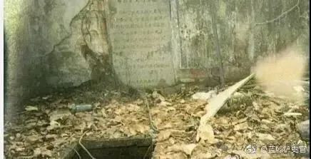 爱尔兰化粪池800具幼童遗骨和旧中国的“育婴堂”
