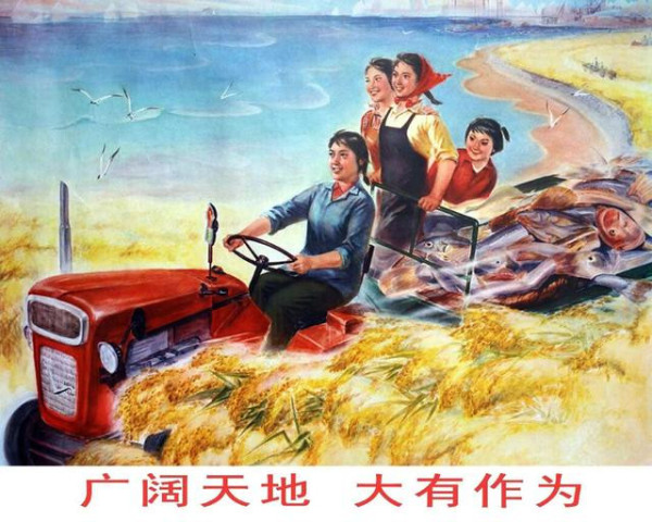 葛元仁：坚定正确的政治方向，办好国家方志馆知青分馆